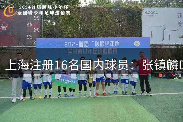 上海注册16名国内球员：张镇麟D类顶薪续约四年 李弘权两年C类